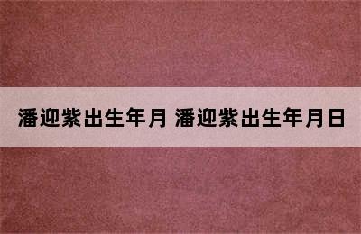 潘迎紫出生年月 潘迎紫出生年月日